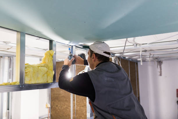 Best Cellulose Insulation in Mount Vernon, TX