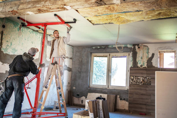 Best Residential Insulation in Mount Vernon, TX