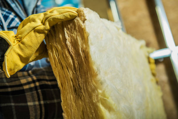 Best Blown-in Insulation in Mount Vernon, TX