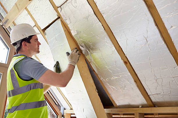 Best Eco-Friendly Insulation in Mount Vernon, TX